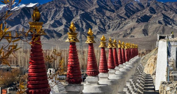 Expérience à Leh Ladakh - Golden Triangle India Tours 2