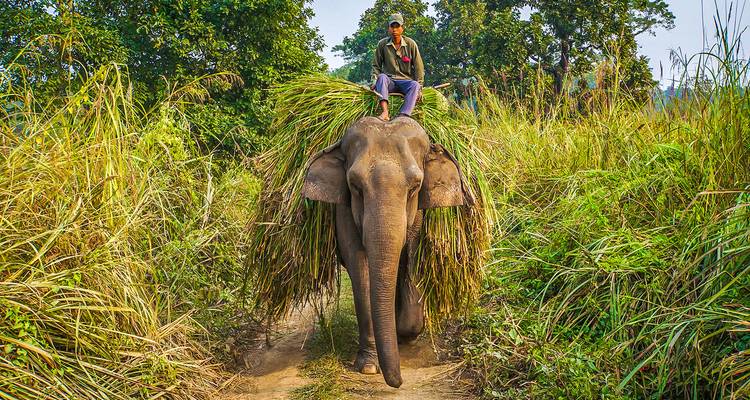 Vacaciones personalizadas de 1 semana en Nepal con salida diaria y guía privado - Agate Travel 2