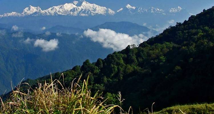 Triangle d'or avec circuit dans le nord-est - Golden Triangle India Tours 10