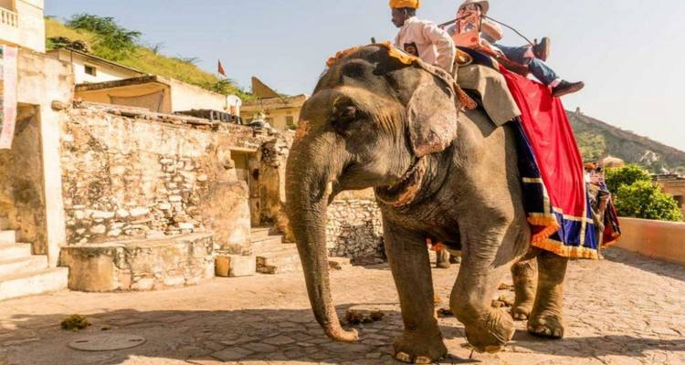 Triangle d'or avec circuit dans le nord-est - Golden Triangle India Tours 2