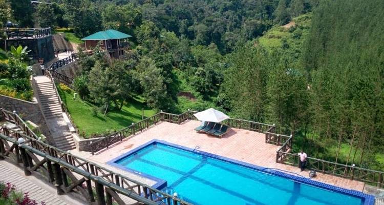 9 jours - Le meilleur du Kenya et de l'Ouganda - Safari Gorille - Africa Venture Safaris 8