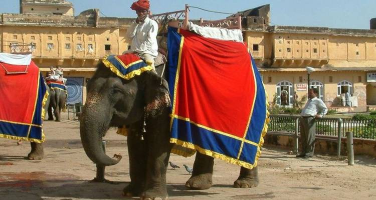 India Heritage Tour with Himachal - Golden Triangle India Tours 6