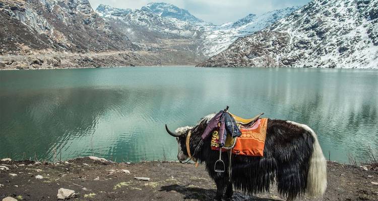 North East India Highlights - Golden Triangle India Tours 3