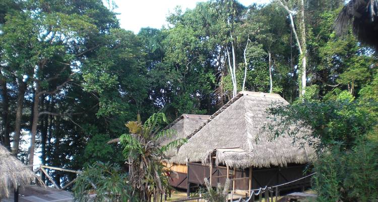 Amazon Cuyabeno Park Trip in Standard Eco Lodge - PALMARVOYAGES Tour Operator in ECUADOR 3