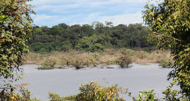 Amazon Cuyabeno Park Trip in Standard Eco Lodge - PALMARVOYAGES Tour Operator in ECUADOR 9