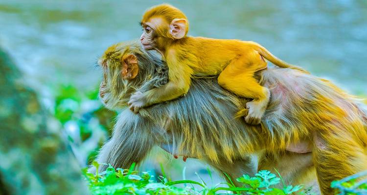 Tailor-Made Private Nepal Adventure with Daily Departure - Agate Travel 1