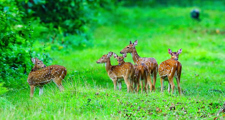 Tailor-Made Private Nepal Adventure with Daily Departure - Agate Travel 4