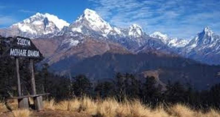 Mohare Danda Trek 10 jours - Sherpa Expedition Teams 1