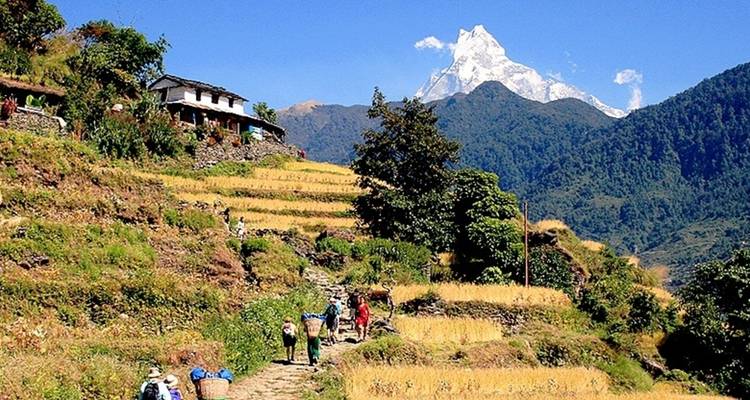 People walking along a terraced hill with mountain view.
