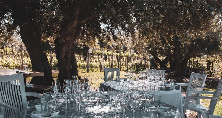 Mendoza, between vineyards, mountains and “gaucho” culture - Mater Sustentable 2