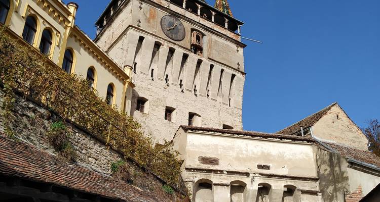 Private 3-Day Best of Romania Tour from Bucharest: Peles Castle, Bran Castle, Bears Sanctuary, Brasov, Sighisoara, Viscri, Rasnov Fortress and Snagov Monastery With Hotel Pick Up Drop Off - Transylvania Discovery Tours 10