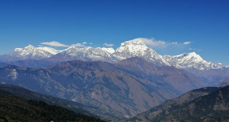 Trek du camp de base de l'Annapurna 14 jours - Sherpa Expedition Teams 7