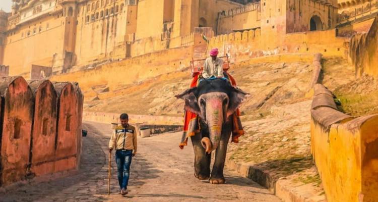Circuito al triángulo de oro con Leh - Golden Triangle India Tours 6