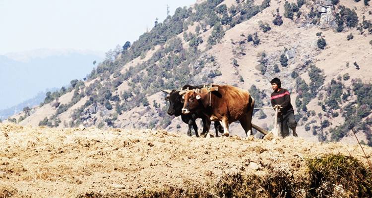 Indigenous Peoples Trail Trek 11 Days - Sherpa Expedition & Trekking Pvt. Ltd. 1
