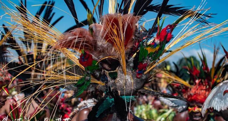 Papua New Guinea Highlands Tribes Tour and Goroka Festival - Indigo Safaris 10