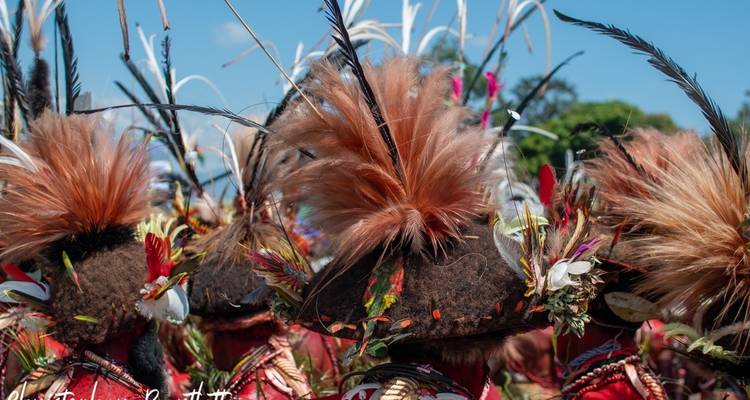 Papua New Guinea Highlands Tribes Tour and Goroka Festival - Indigo Safaris 6
