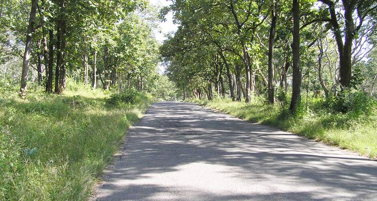 Visite de Bandipur et du sanctuaire de faune de Mudumalai au départ de Bangalore - Tout compris - Travel Con 7