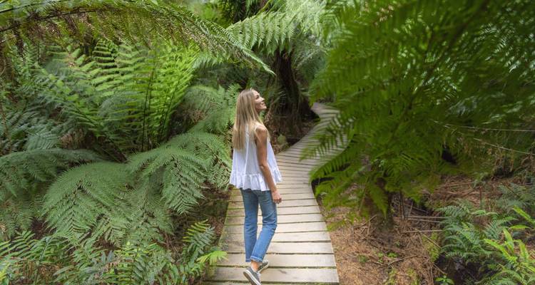 Circuito de 3 días por la Great Ocean Road y los Grampians de Melbourne (en alojamiento) - Autopia Tours 10