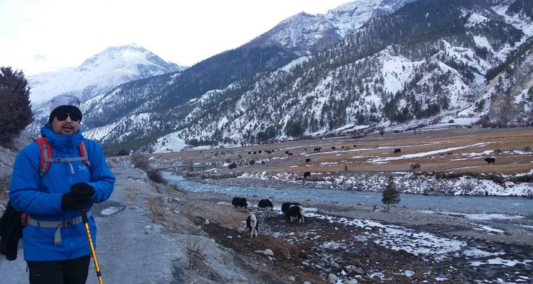 Circuit de l'Annapurna Trek 8 jours - Sherpa Expedition Teams 2