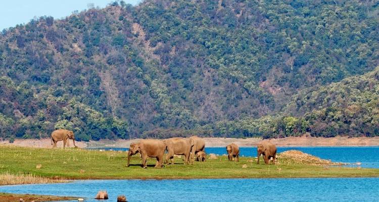 Circuito a Jim Corbett desde Delhi - Golden Triangle India Tours 6