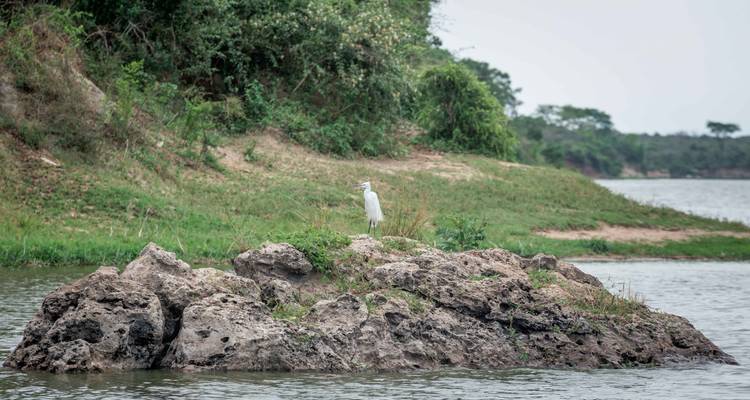 3 Days Best of Queen Elizabeth Tour - Wanderlust Africa Vacations 7
