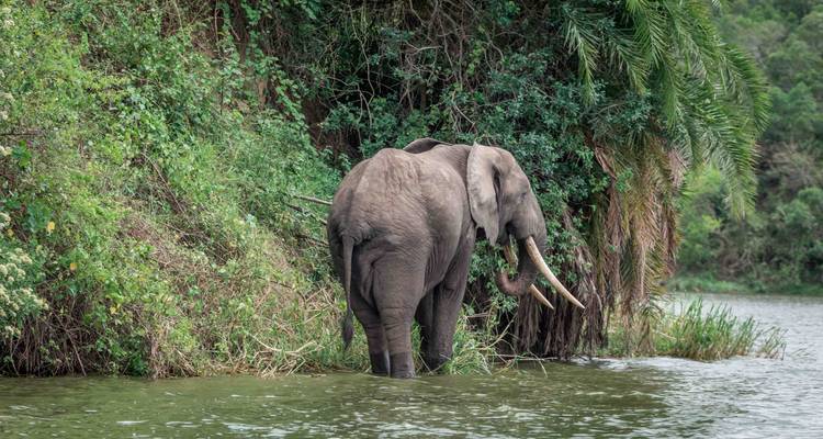 3 Days Best of Queen Elizabeth Tour - Wanderlust Africa Vacations 8