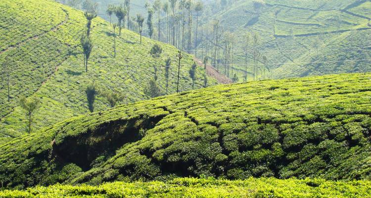 Mysore Kabini National Park Package from Bangalore (ALL INCLUSIVE) - Travel Con 2