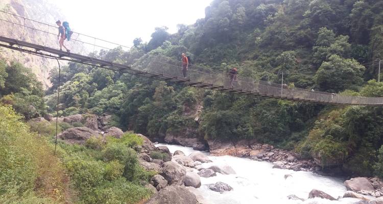 Menschen überqueren eine Hängebrücke über einen Fluss in einer bewaldeten Landschaft.