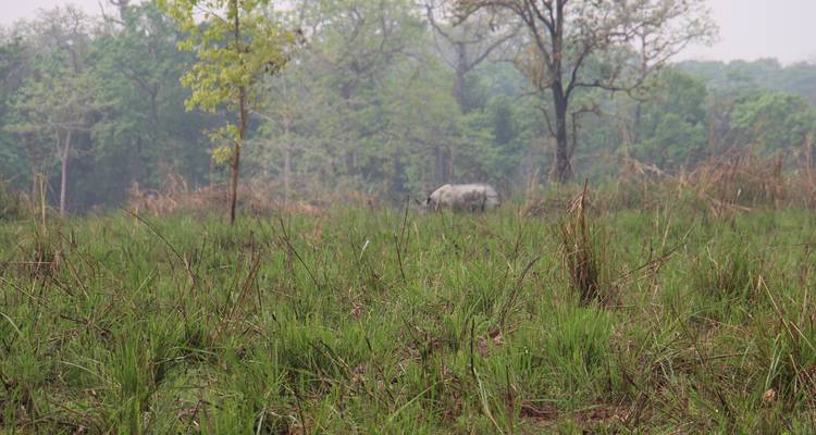 Paquete turístico de Chitwan 2 noches y 3 días de safari por la selva con recogida - Welcome Nepal Treks 10