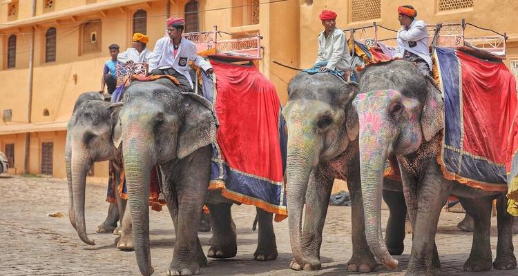 Elefanten mit bunten Verzierungen und Menschen, die auf ihnen reiten.