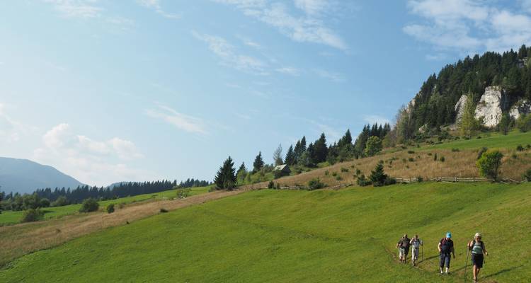 La vie de village en Transylvanie dans les Carpates : Une expérience éco-certifiée - Active Travel 9
