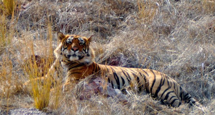 Les points forts de l'Inde - Golden Triangle India Tours 9