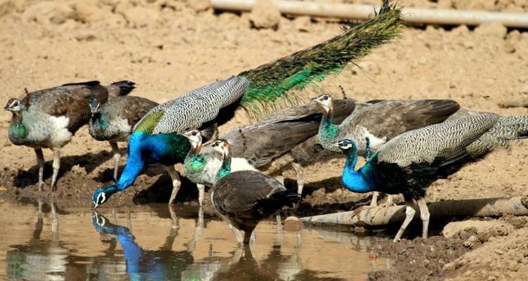 Les points forts de l'Inde - Golden Triangle India Tours 10