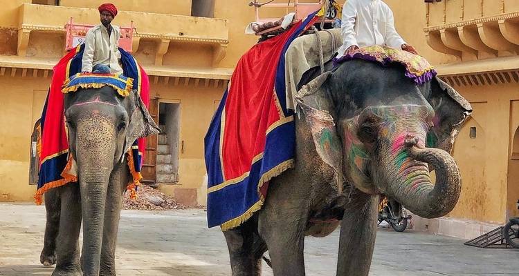 Mensen die op kleurrijk versierde olifanten rijden