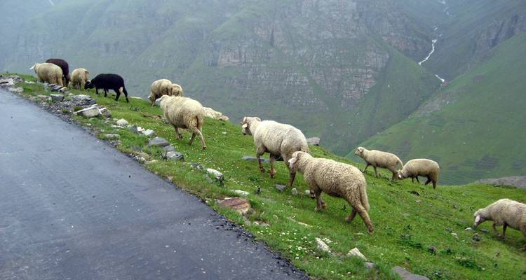 Himachal with Taj Mahal Tour - Golden Triangle India Tours 7
