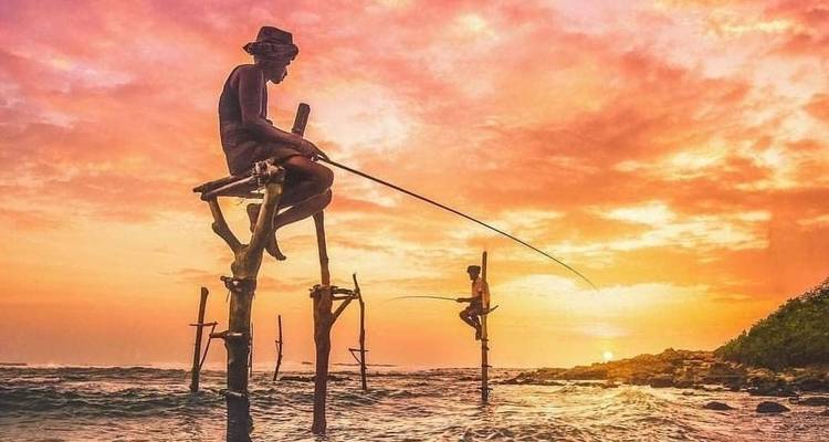 Circuit de 2 jours à Bentota, Galle et Yala au départ de Colombo, avec chauffeur privé, véhicule et hébergement (H/B) - Lanka Safe Tours 9
