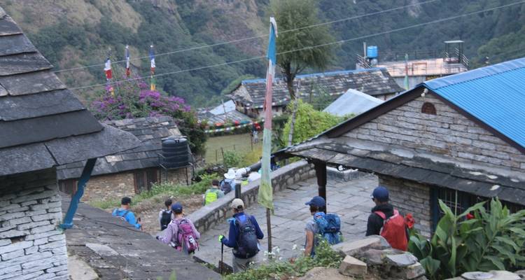 Mardi Himal Trek - Ace the Himalaya 7