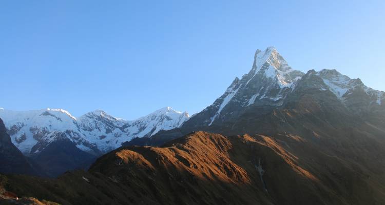 Mardi Himal Trek - Ace the Himalaya 4