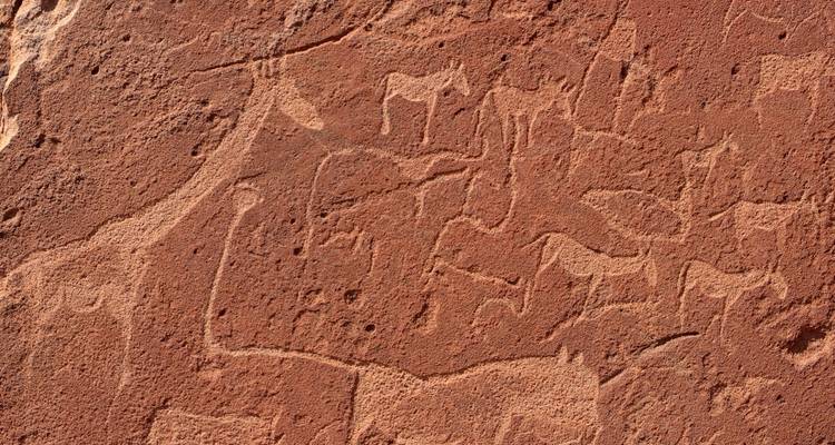 12 Días Namibia en Plus | Circuito en coche y alojamiento - Motema Tours and Safaris 2