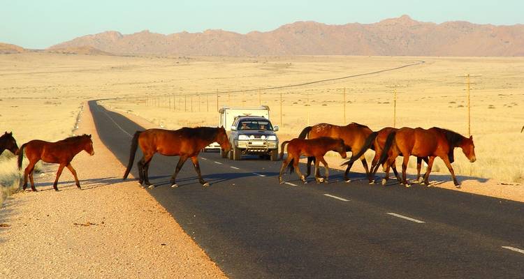 Tout savoir sur la Namibie- Autocaravane - Motema Tours and Safaris 7