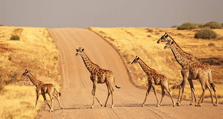 Tout savoir sur la Namibie- Autocaravane - Motema Tours and Safaris 2