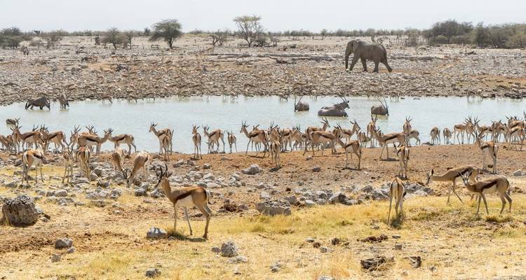 Tout savoir sur la Namibie- Autocaravane - Motema Tours and Safaris 4