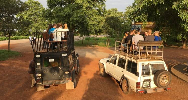 Turistas en jeeps de safari en un entorno de parque.