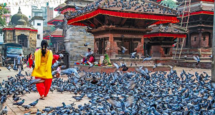 A person in a colorful outfit walking through a courtyard filled with pigeons