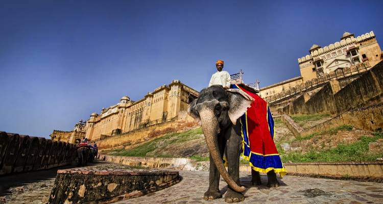 Les points forts de l'Inde avec la faune et la flore - Golden Triangle India Tours 10