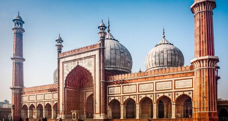 Les points forts de l'Inde avec la faune et la flore - Golden Triangle India Tours 1
