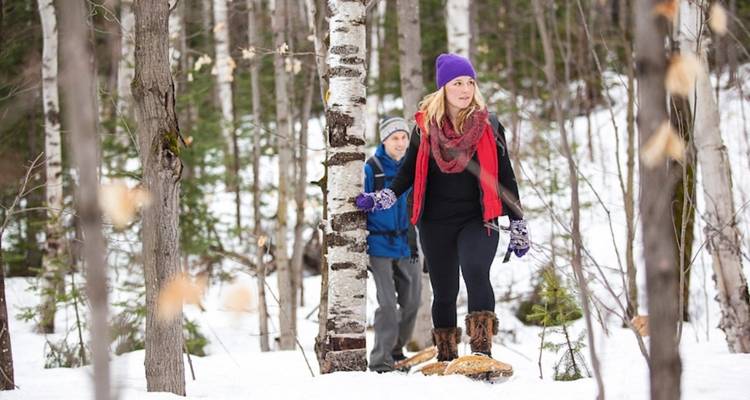 Aventure dans un chalet en bois rond dans le parc Algonquin - Voyageur Quest 1