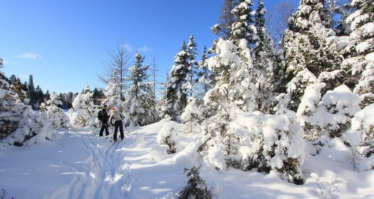 Aventure dans un chalet en bois rond dans le parc Algonquin - Voyageur Quest 3