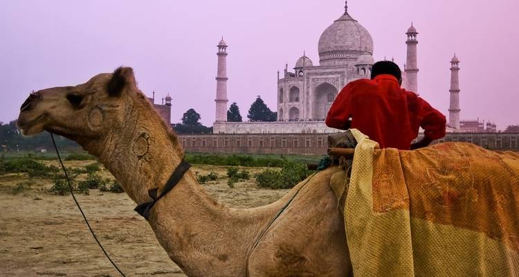Regal India - Golden Triangle India Tours 3