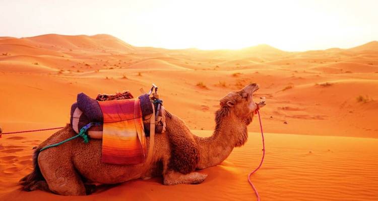 8 jours d'aventure dans le désert au départ de Marrakech - Tilila Travel 8